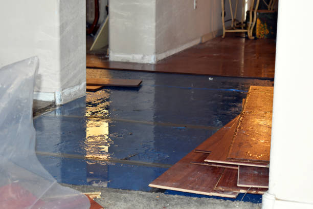 Professional Burst Pipe Cleanup technician working in Chesterville, OH